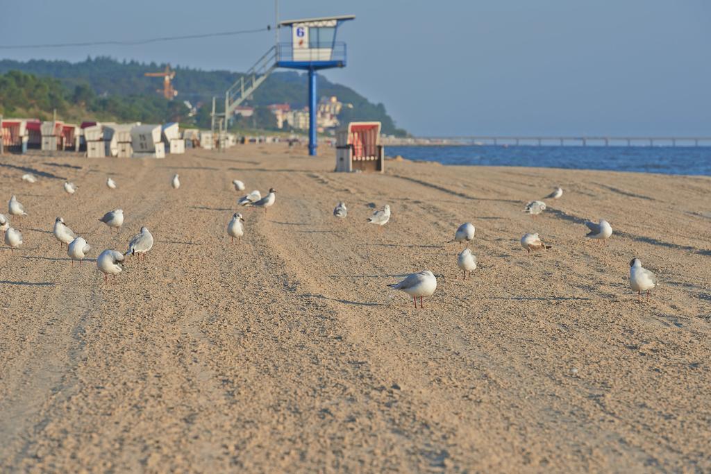 Villa Neptun هيرينجسدورف المظهر الخارجي الصورة
